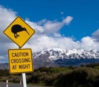 Kiwi Crossing at Mount Ruapehu